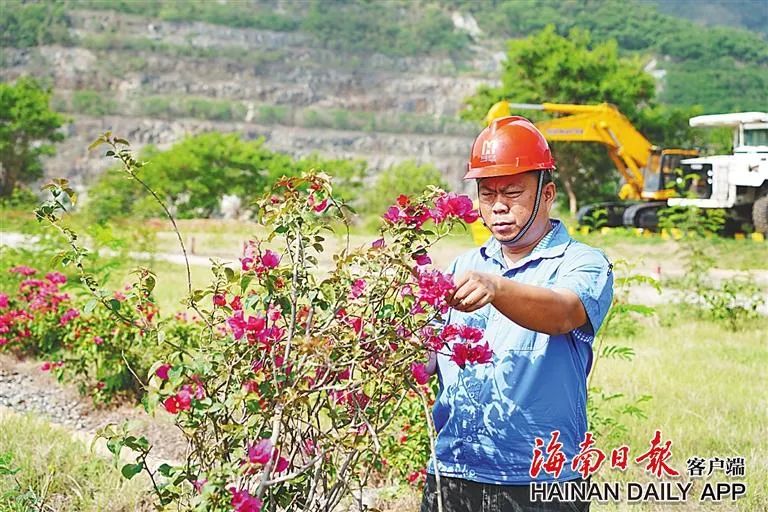 海南這座礦山，為何這么綠？4.jpg